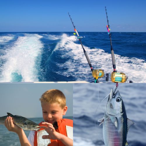 offshore-Coronado-islands-fishing-infusion-charters